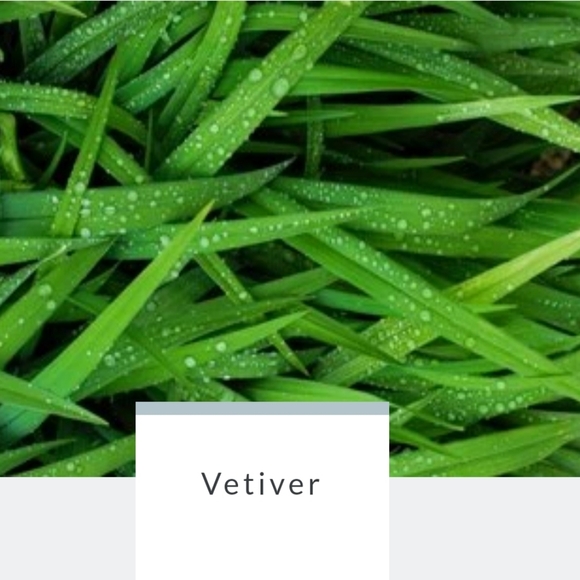 APPLE BLOSSOM | Body Wash Infused Buffer | Spongelle | Brand New in Box - Picture 8 of 9